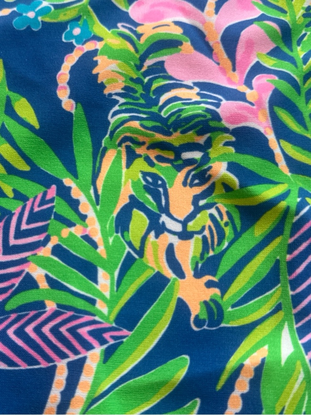 SOLD Lilly Pulitzer Size 4, Shorts in 'Borealis Blue How You Like Me Prowl’ - Picture 5 of 7